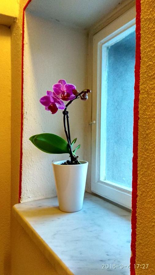 ルッカ Le Rondini Di San Donato Bed & Breakfast エクステリア 写真