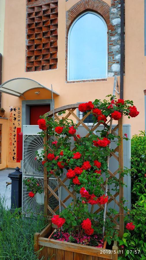 ルッカ Le Rondini Di San Donato Bed & Breakfast エクステリア 写真