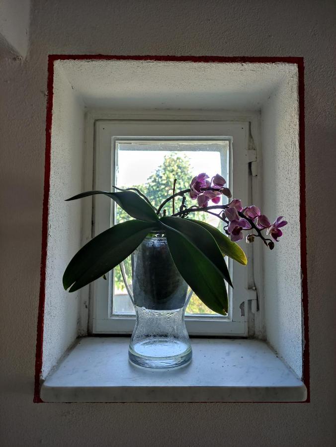 ルッカ Le Rondini Di San Donato Bed & Breakfast エクステリア 写真